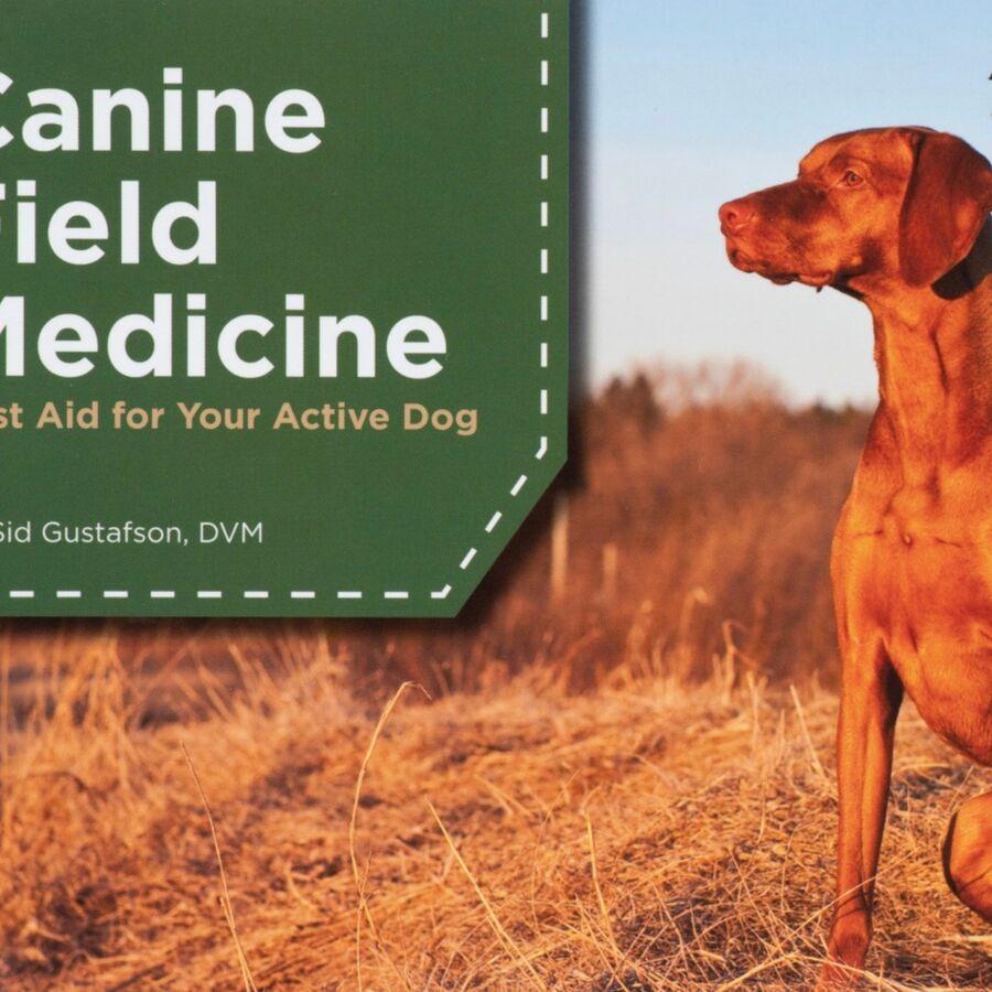 Adventure Medical Kits Adventure Dog Series Vet In A Box Green