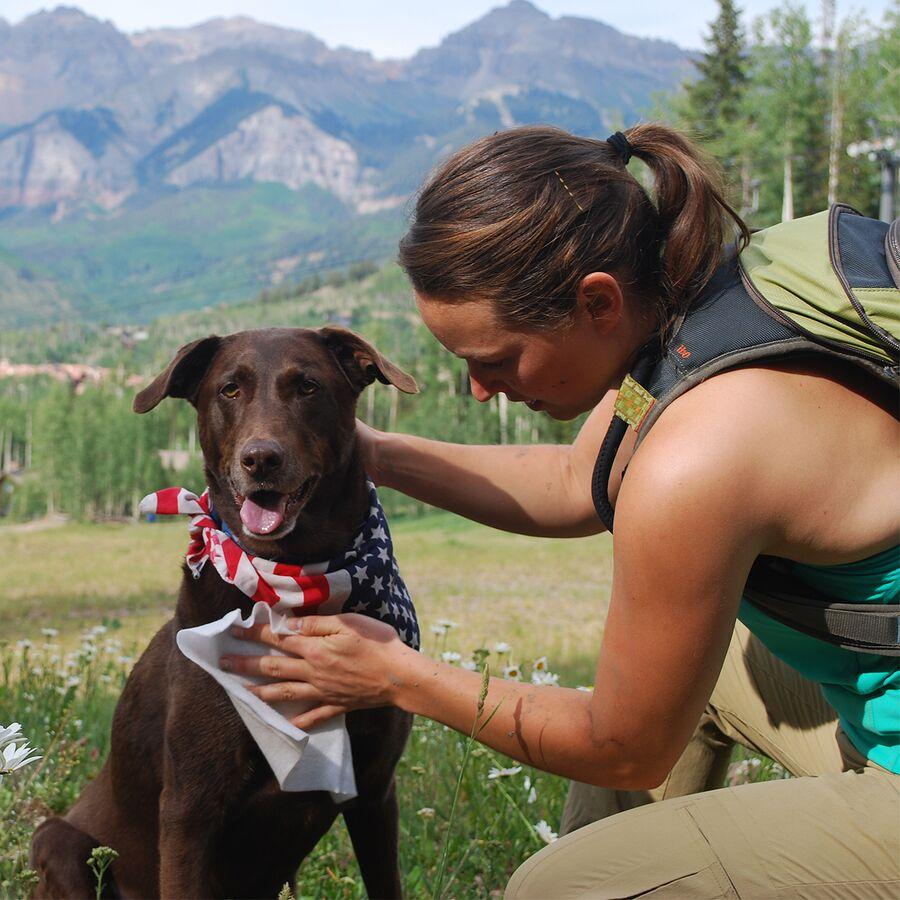 Adventure Medical Kits Adventure Dog Wipes Green