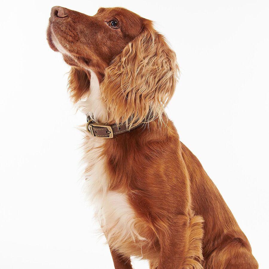 Barbour Leather Dog Collar Brown