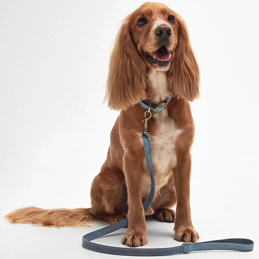 Barbour Leather Dog Lead