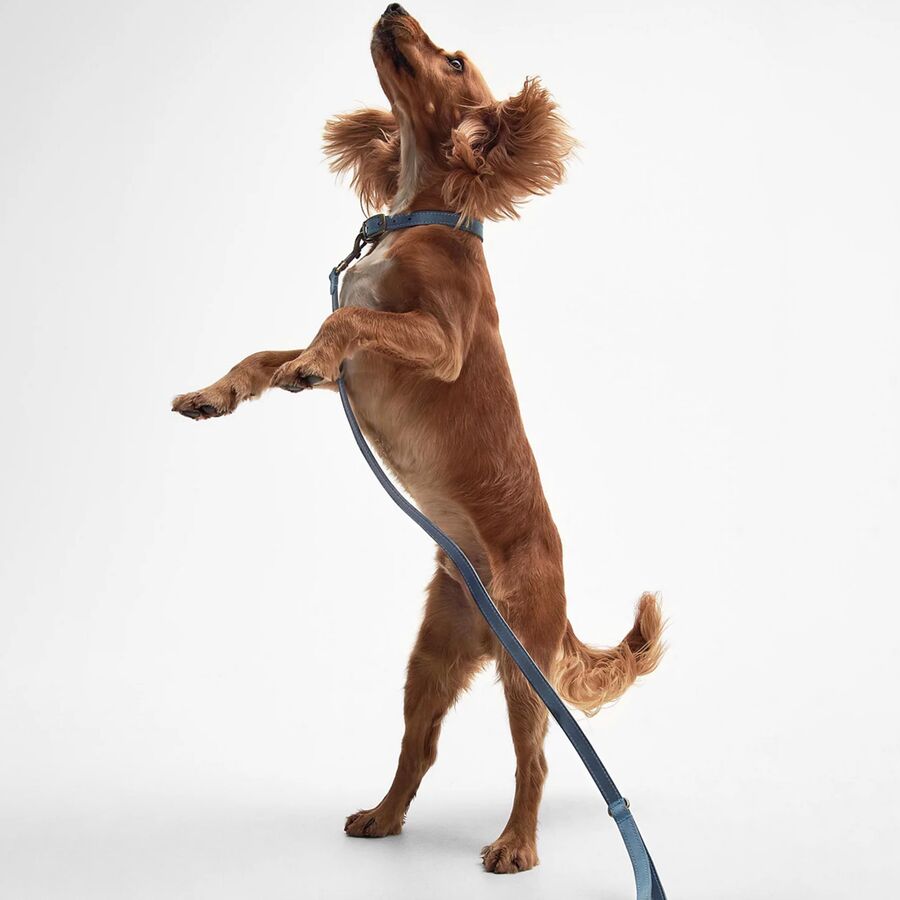 Barbour Leather Dog Lead