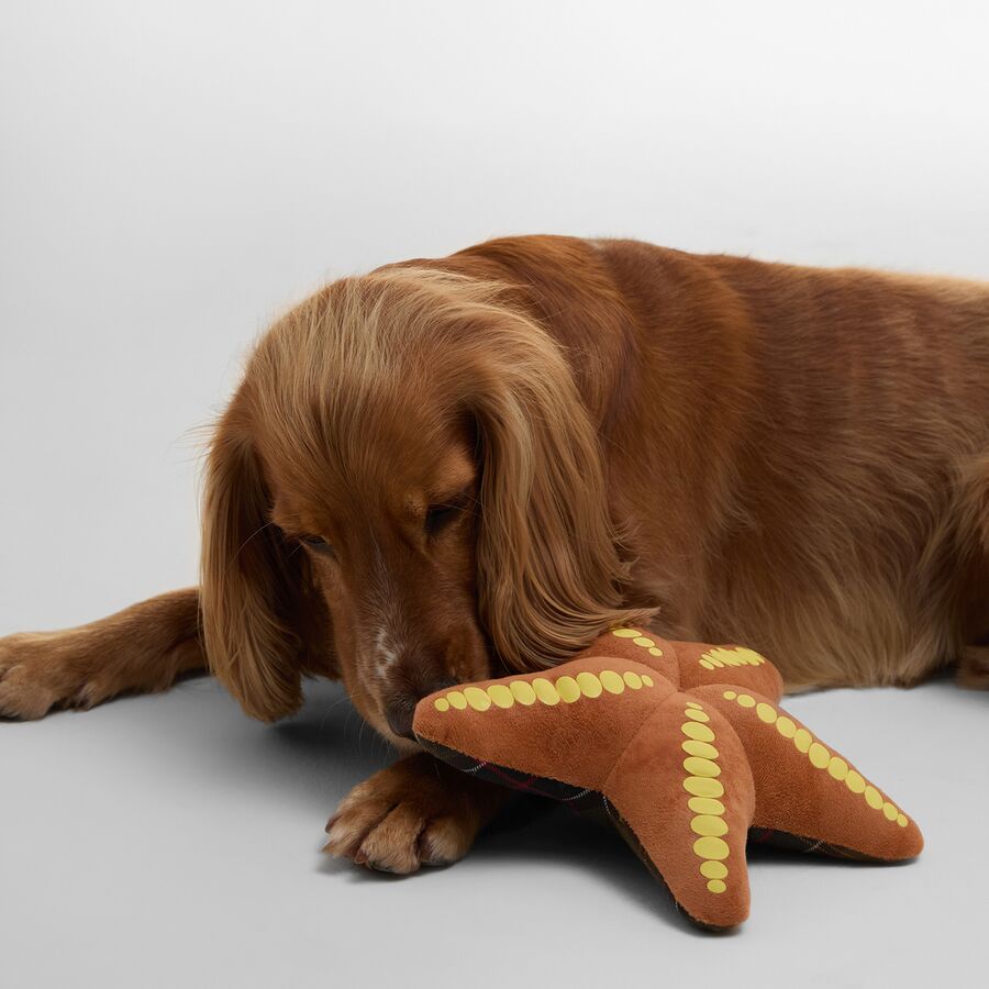 Barbour Starfish Dog Toy Starfish