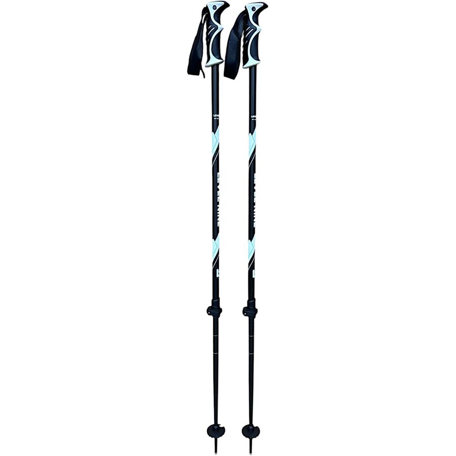 Defiance Adjustable Ski Poles - 2025