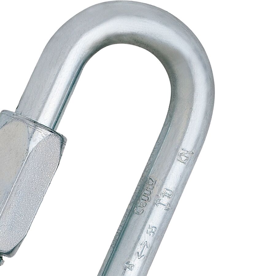 Edelrid Screwlink Carabiner Silver