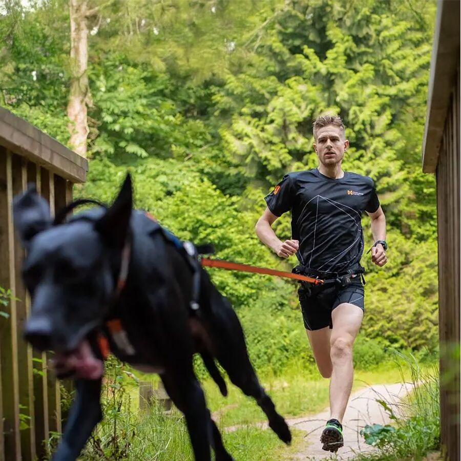 Non-stop Dogwear Bungee Leash