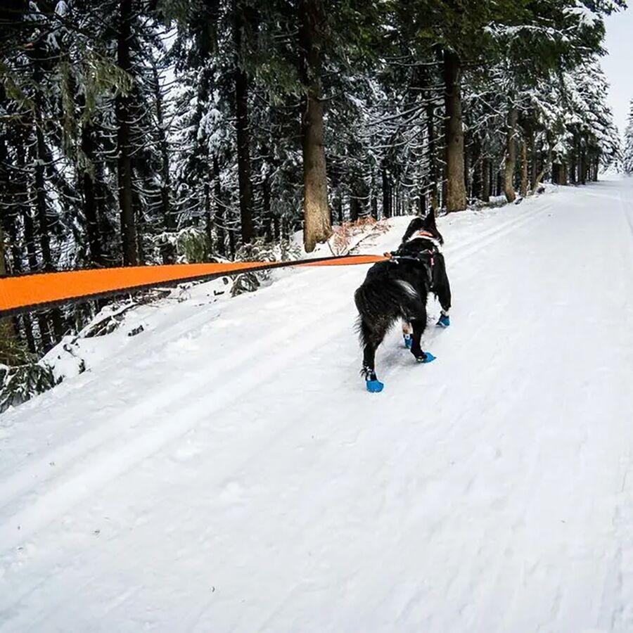 Non-stop Dogwear Bungee Leash