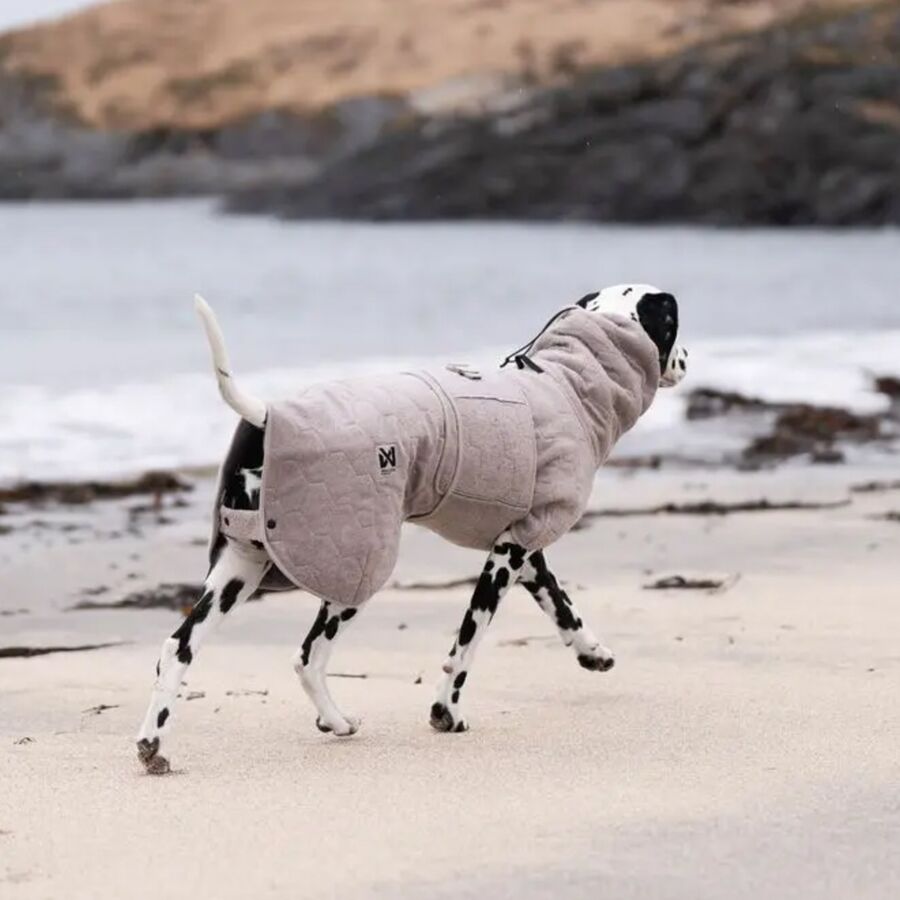 Non-stop Dogwear Drying Jacket