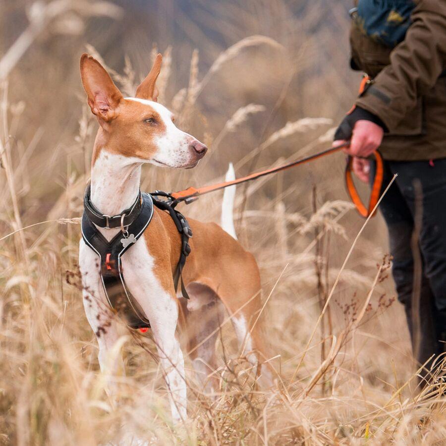 Non-stop Dogwear Line Harness Grip