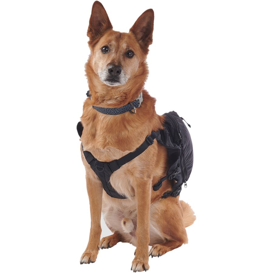 Ultimate Direction Dog Vest Black V2