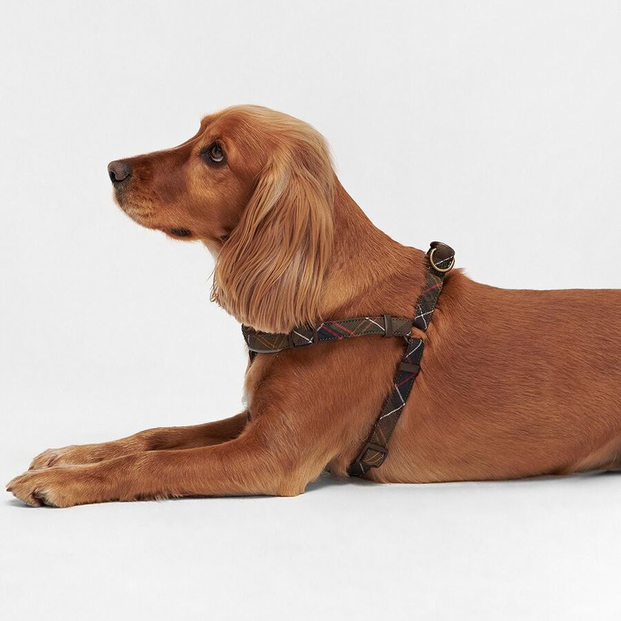 Barbour Tartan 5-Way Adjustable Harness Classic Tartan