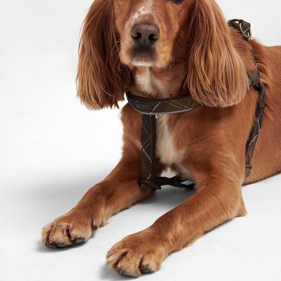 Barbour Tartan 5-Way Adjustable Harness Classic Tartan