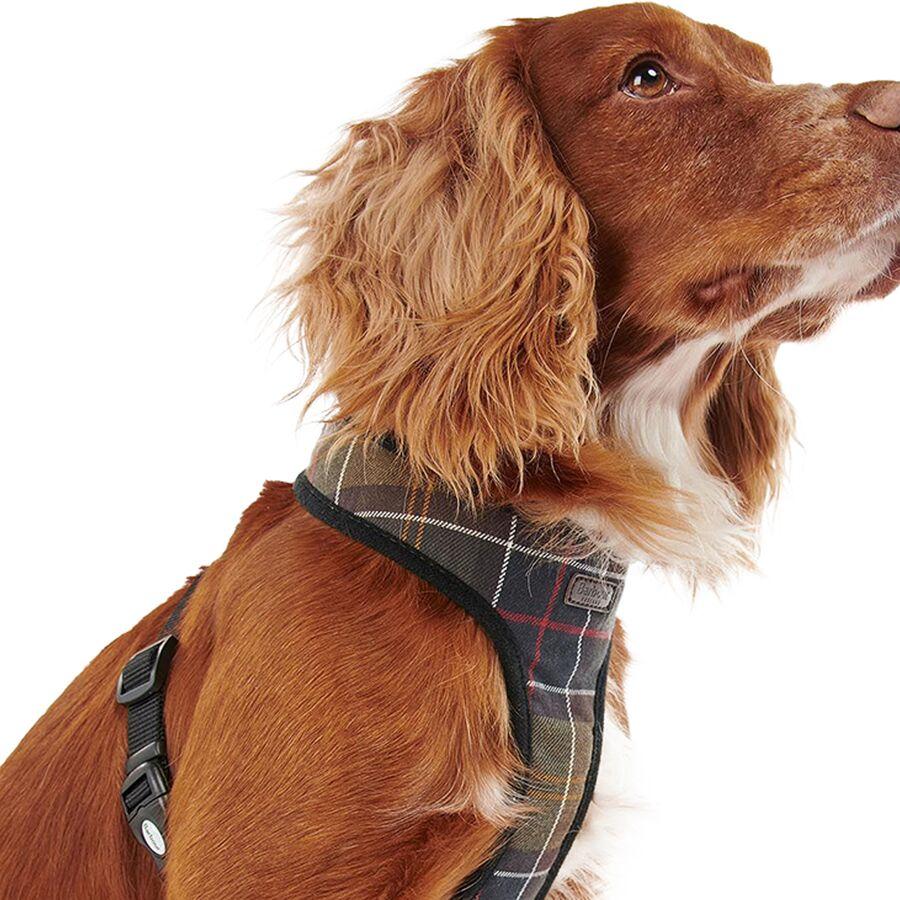 Barbour Tartan Dog Harness Classic Tartan