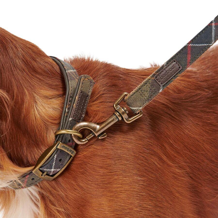 Barbour Tartan/Webbing Lead Classic Tartan