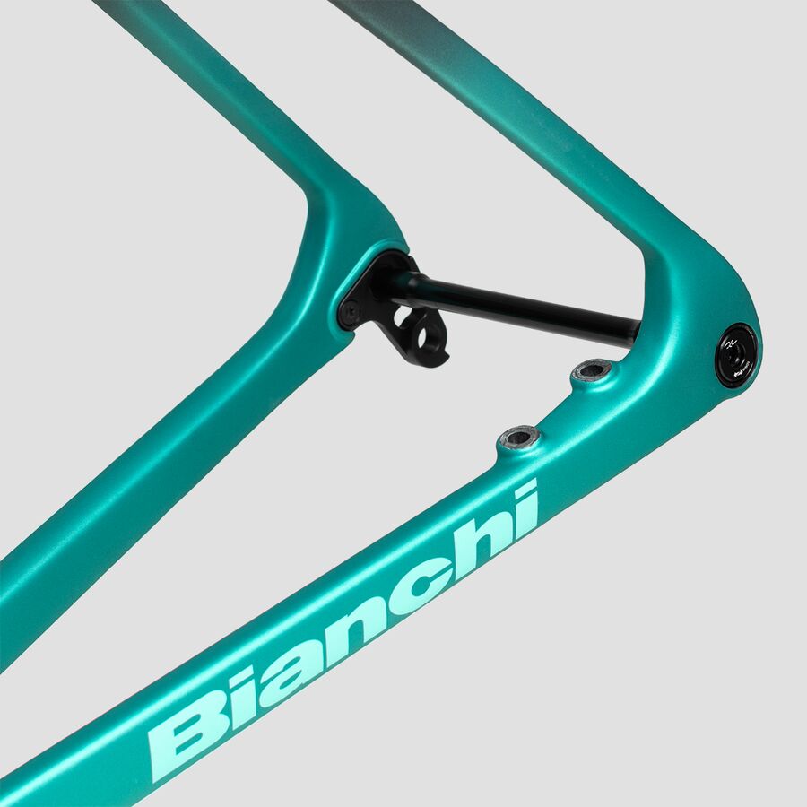 Bianchi Specialissima RC Disc Road Bike Frameset Carbon/Ck16 Metallic/Ck16