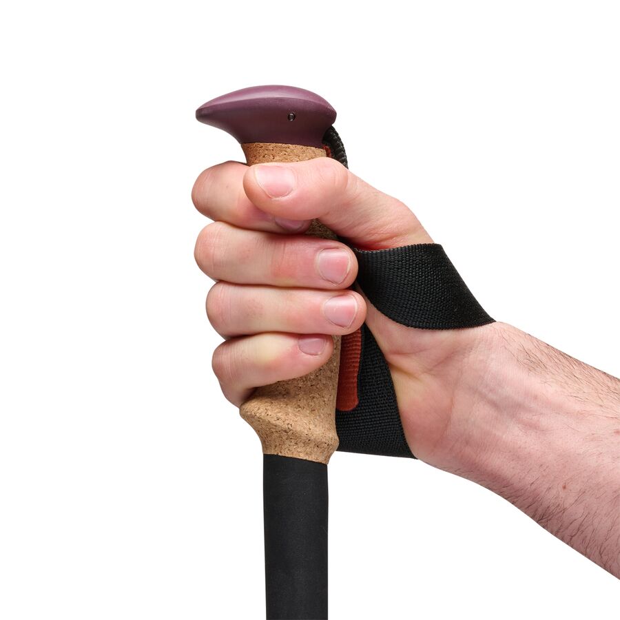 Black Diamond Trail Cork Trekking Poles Fig