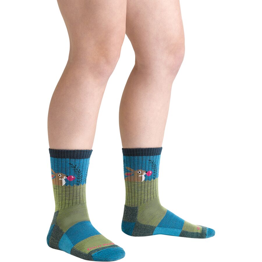 Darn Tough Bubble Bunny Jr. Micro Crew Lightweight Cushion Sock - Kids' Willow