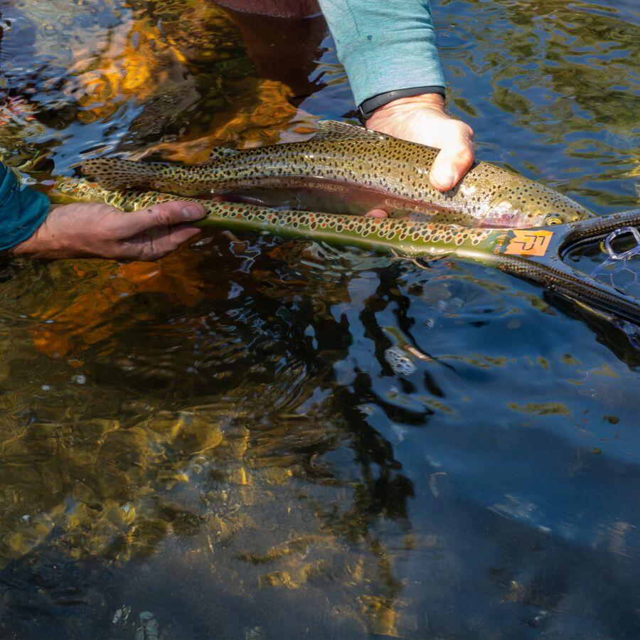 Fishpond Nomad Middle Fork Net Brown Trout