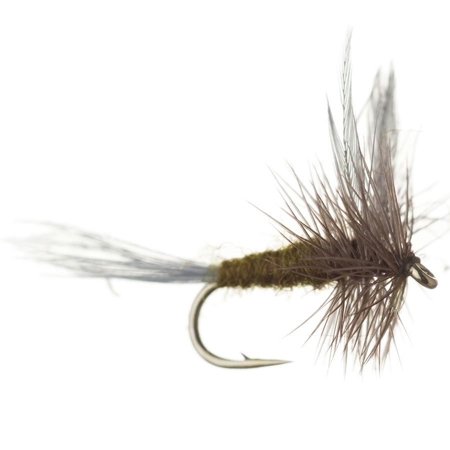 Montana Fly Company Traditional BWO - 12-Pack BWO