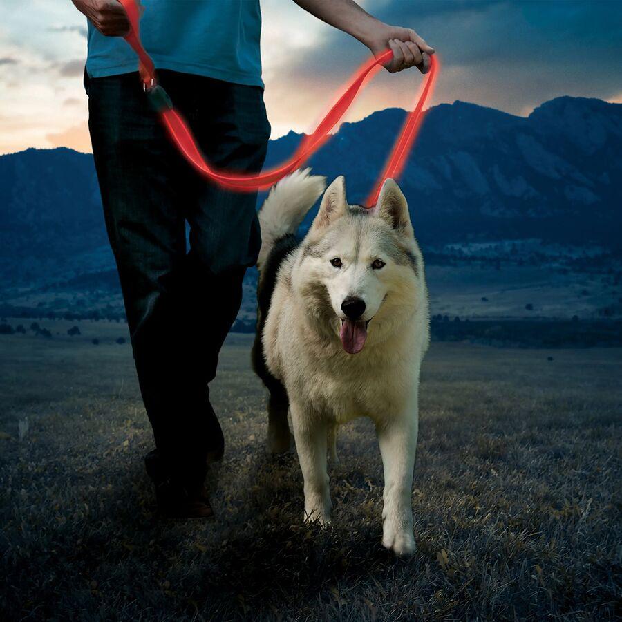 Nite Ize NiteDog Rechargeable LED Leash Red
