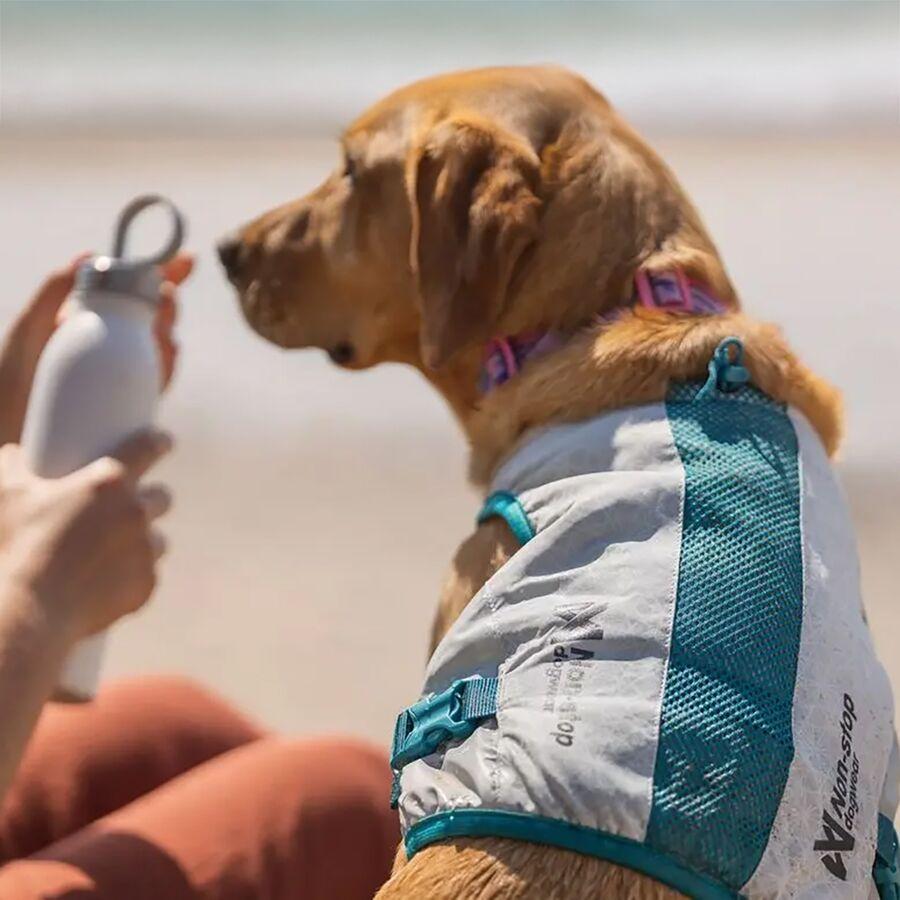 Non-stop Dogwear Cooling Vest Lightgray/Teal