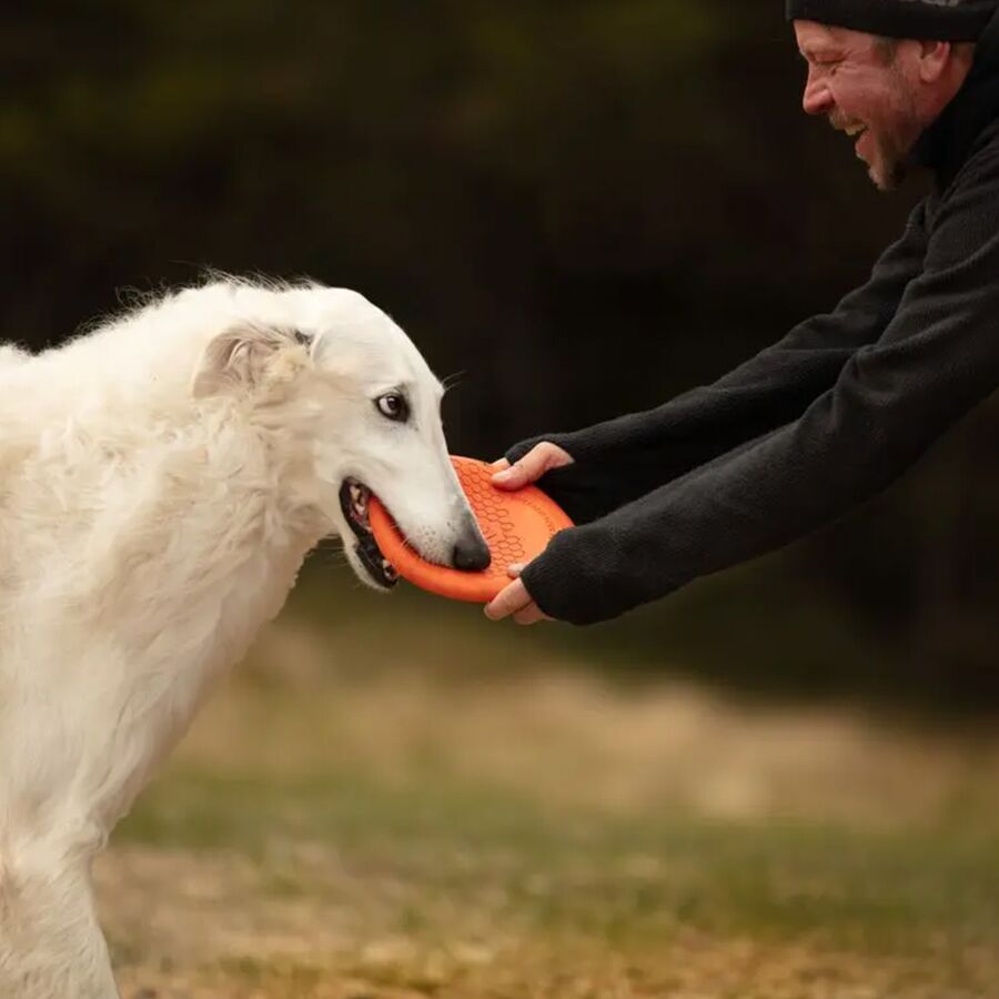 Non-stop Dogwear Dog Flying Disc Orange/Black