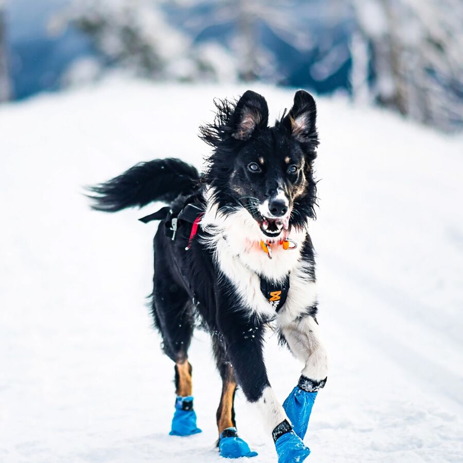 Non-stop Dogwear Long Distance Bootie Blue