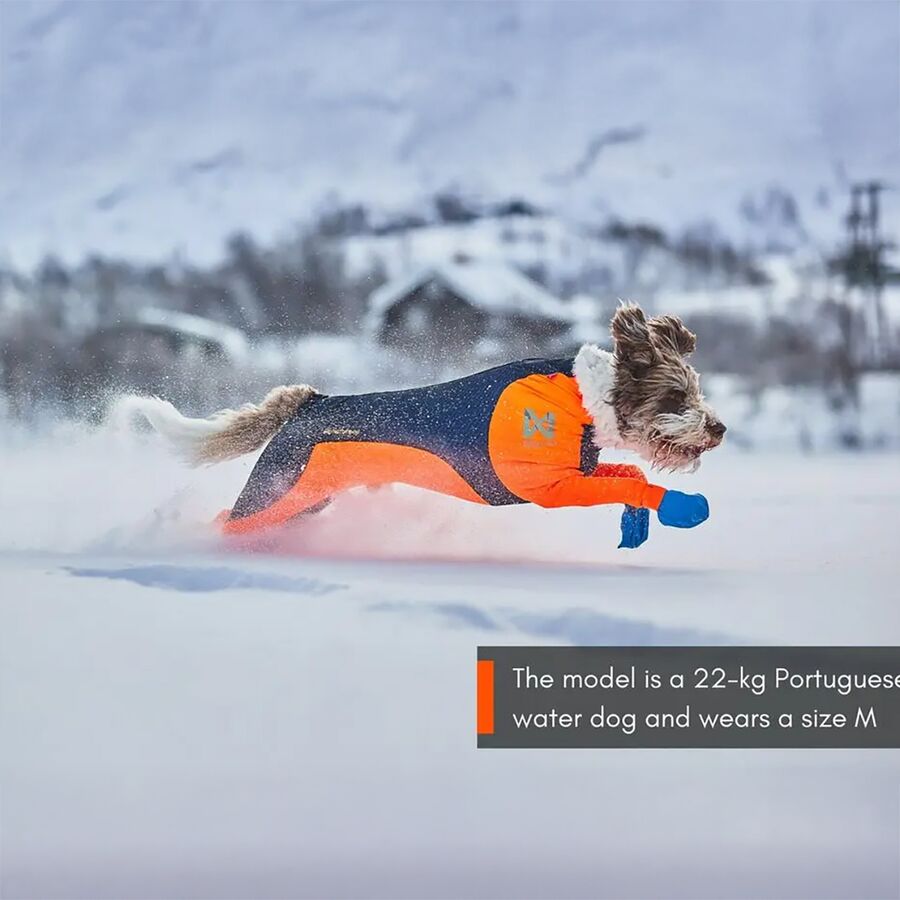 Non-stop Dogwear Protector Snow - Male Black/Orange