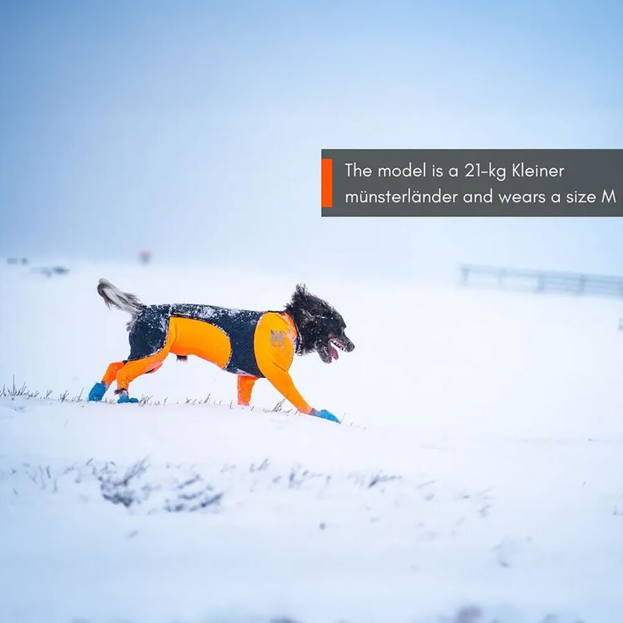 Non-stop Dogwear Protector Snow - Male Black/Orange