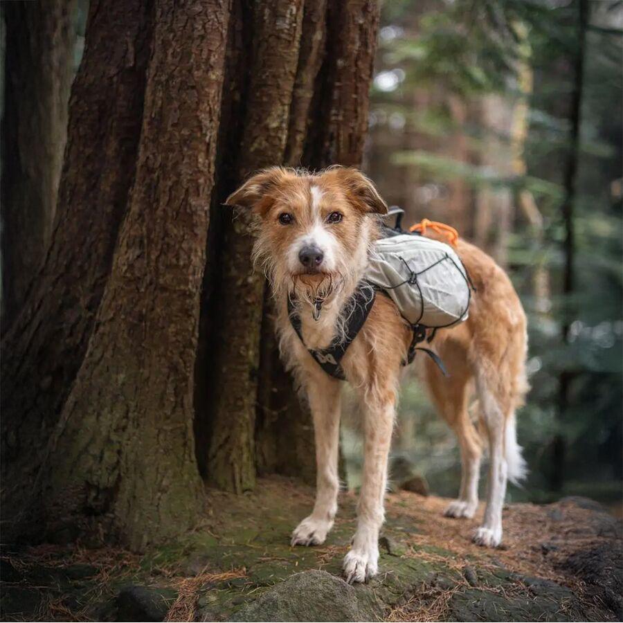 Non-stop Dogwear Trail Light Dog Backpack Glaciergray
