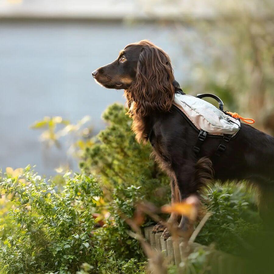 Non-stop Dogwear Trail Light Dog Backpack Glaciergray