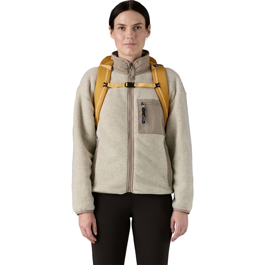 Patagonia Black Hole 25L Backpack Basin Green