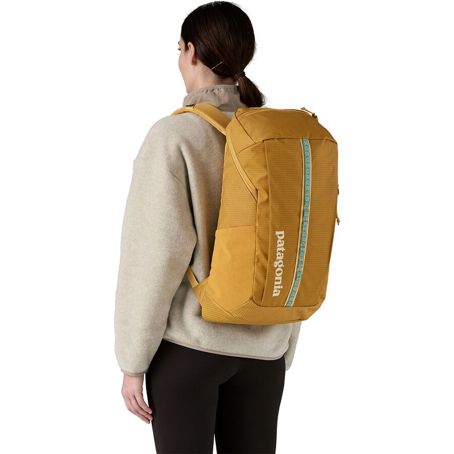 Patagonia Black Hole 25L Backpack Basin Green