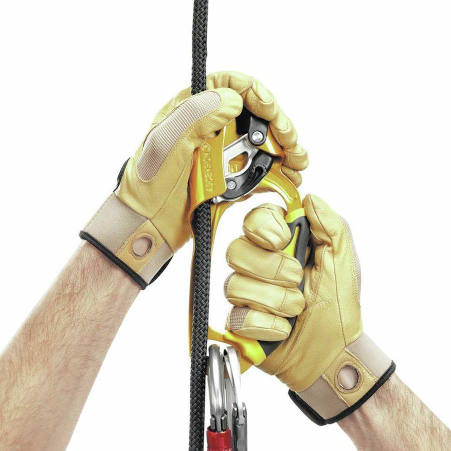 Petzl Ascension Handled Ascender One Color