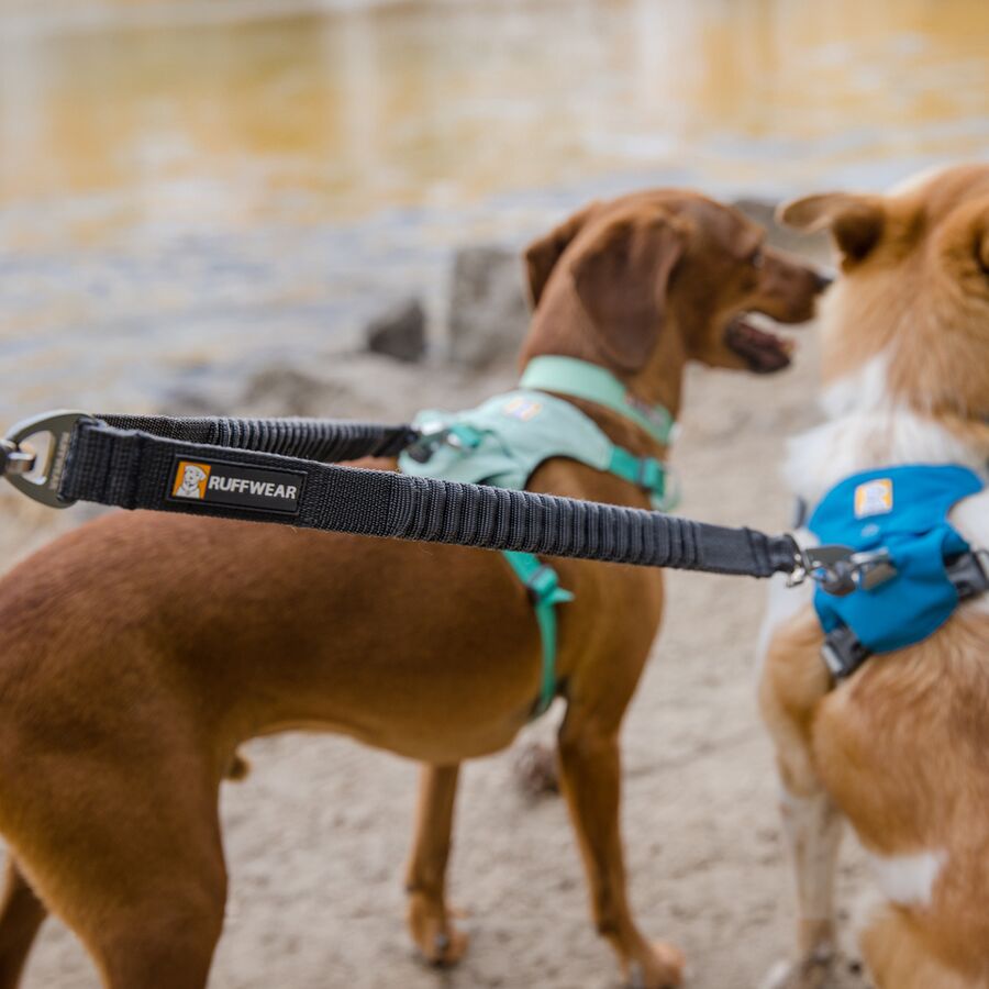 Ruffwear Double Track Coupler Basalt Gray