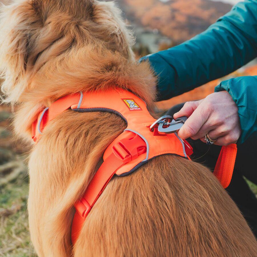 Ruffwear Front Range Harness Blaze Orange