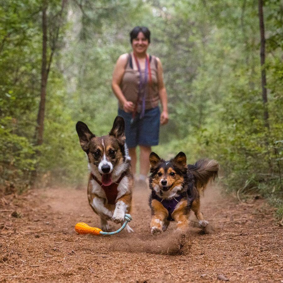 Ruffwear Gourdo Dog Toy Campfire Orange