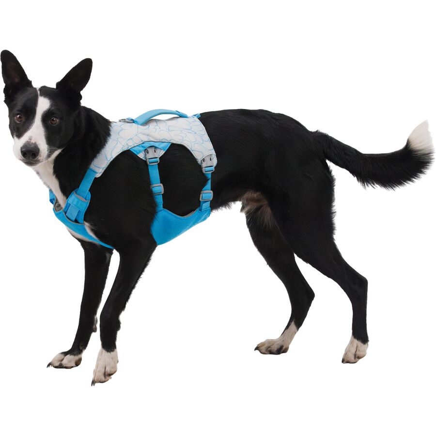 Ruffwear Swamp Cooler Harness Biolumin Blue