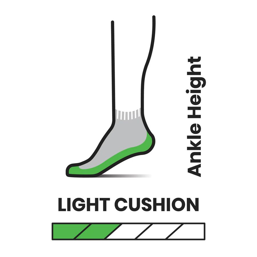 Smartwool Performance Hike Light Cushion Ankle Sock Charcoal