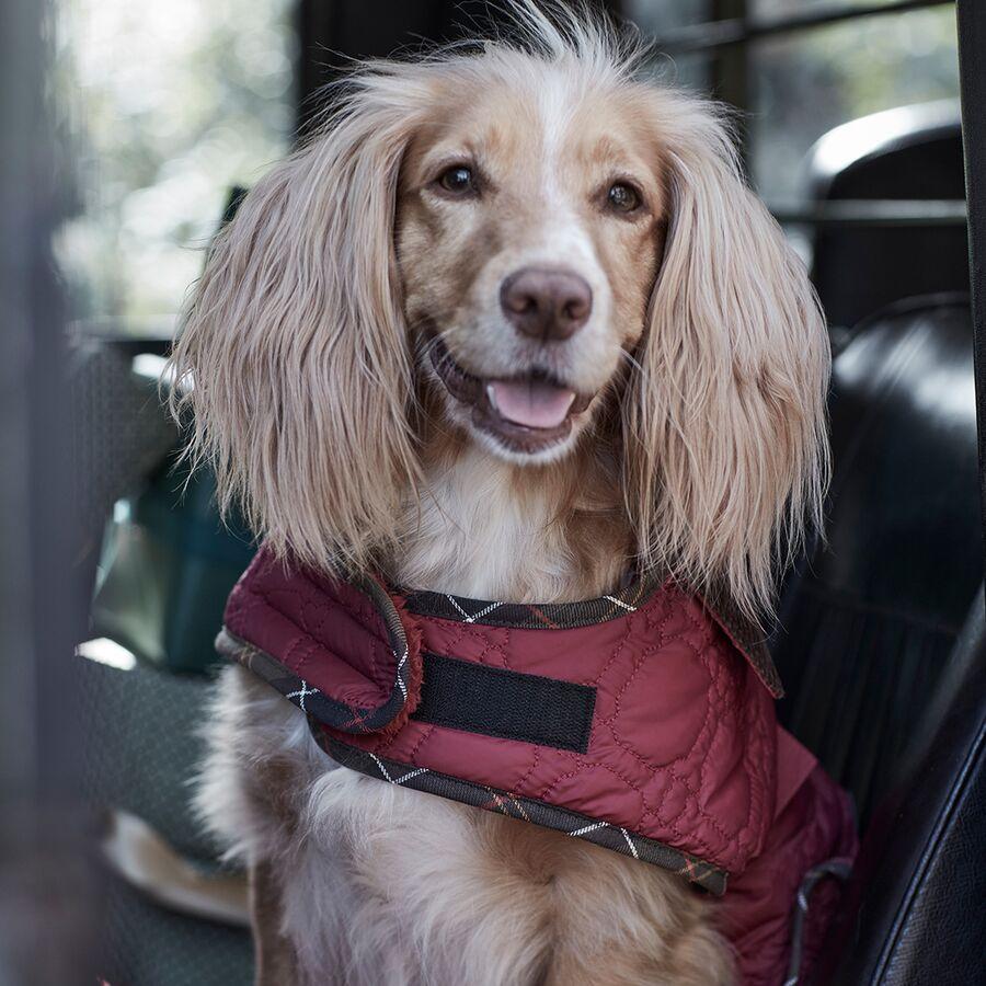 Barbour Dog Bone Quilted Dog Coat Cranberry