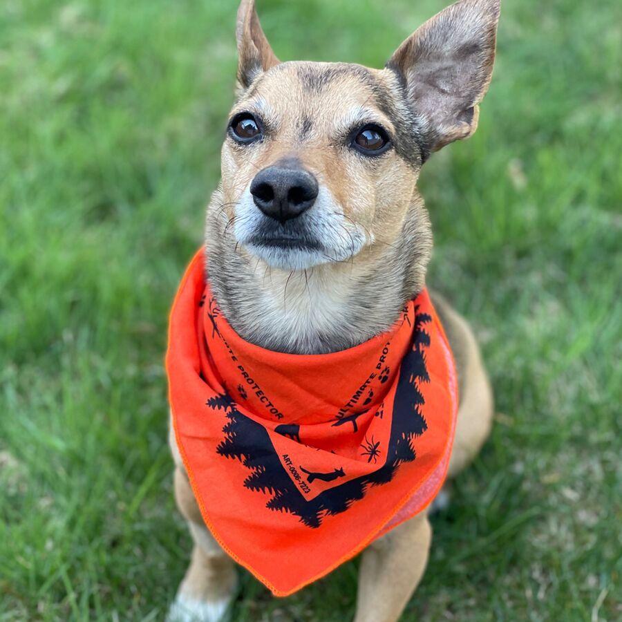 Ben's Dog Bandana With Insect Shield One Color