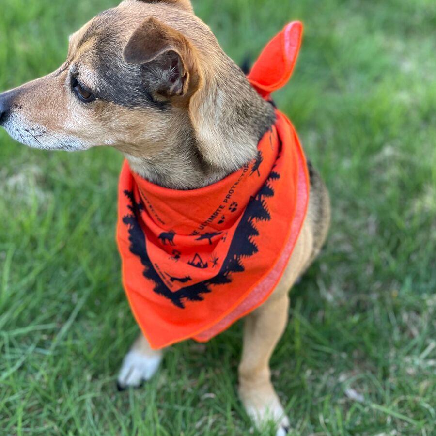 Ben's Dog Bandana With Insect Shield One Color