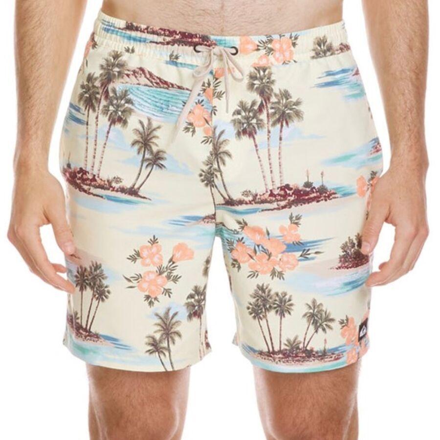 Quiksilver Everyday Mix Volley 17 NB Short - Men's Silver Birch