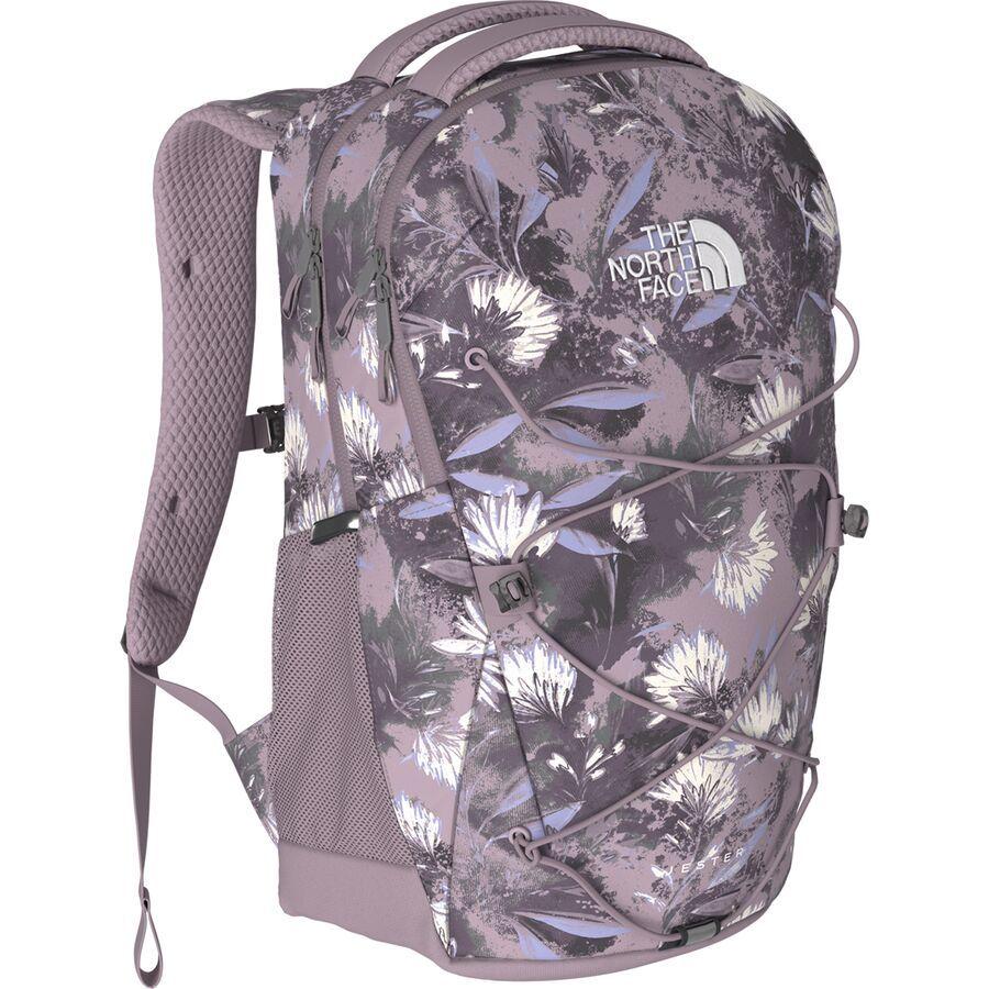The North Face Jester 22L Backpack - Women's Ashen Purple Prairie Flowers Print/Ashen Purple